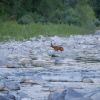 visita la Val Trebbia