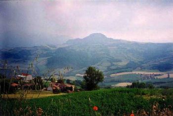 La Pietra Parcellara La Pietra Parcellara