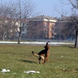 Parco di Montecucco - Piacenza