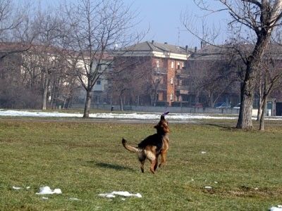 Parco di Montecucco - Piacenza