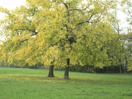 Parco della Galleana - Piacenza