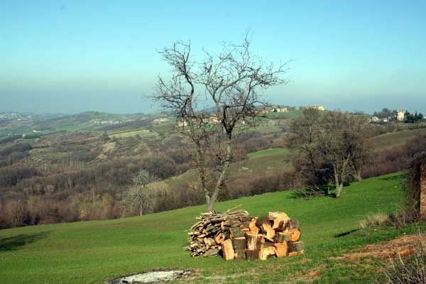 Agriturismo AMA - dintorni 