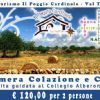 AGRITURISMO IL POGGIO CARDINALE - Offerta