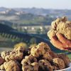 6 settembre - Festa del tartufo