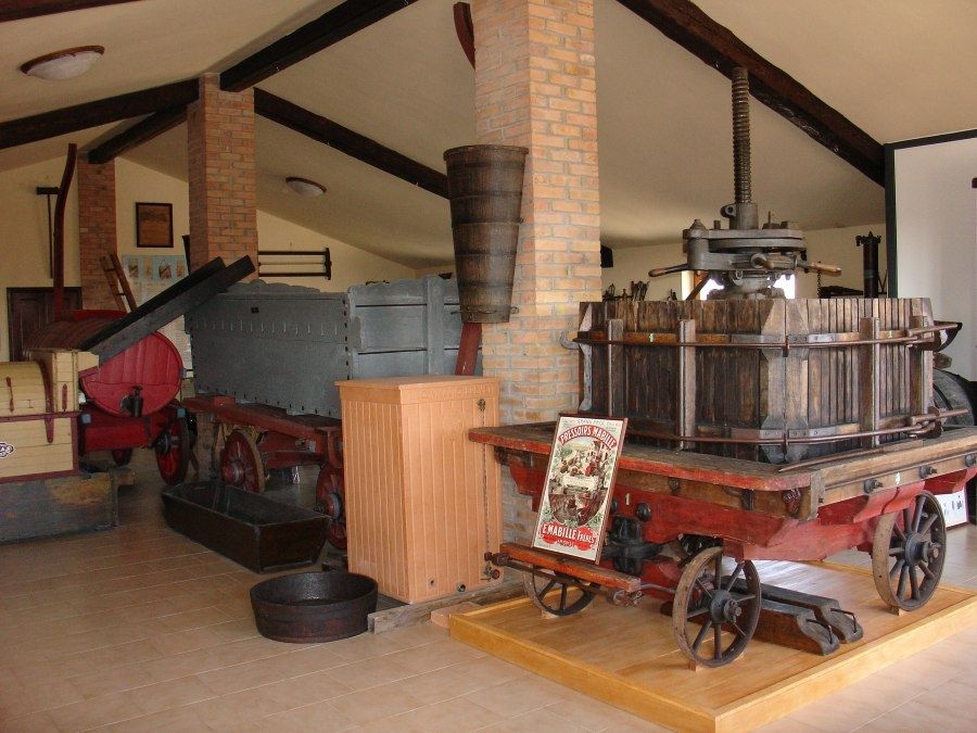 Museo della Vite e del Vino Ferruccio Pizzamiglio