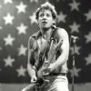 THE BLOOD BROTHERS -THE BRUCE SPRINGSTEEN SHOW