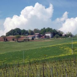 Agriturismo Agronauta