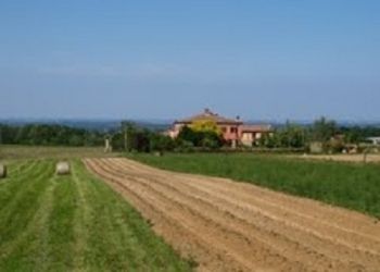 Agriturismo Le Rondini